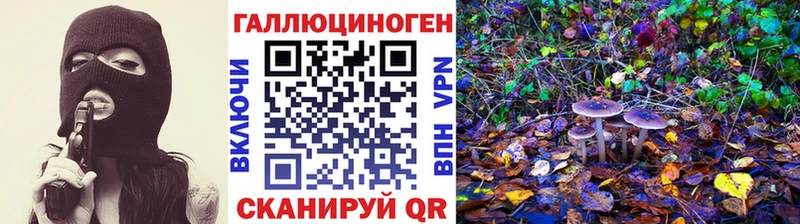 Галлюциногенные грибы Psilocybe  наркотики  Козельск 